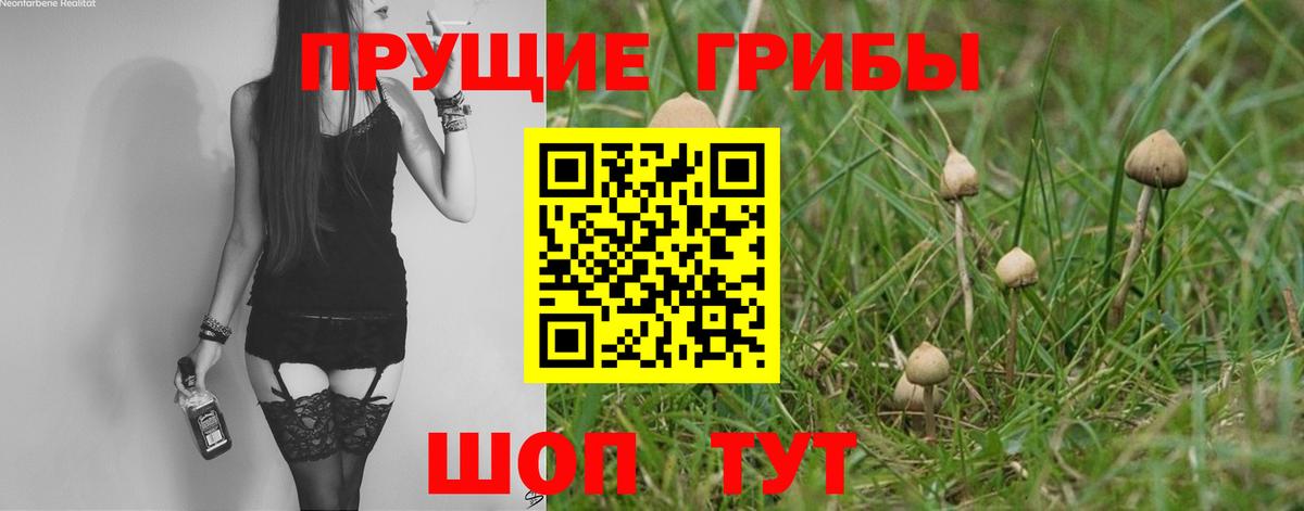 как найти наркотики  Вход с VPN  Солнечногорск  Галлюциногенные грибы прущие грибы 