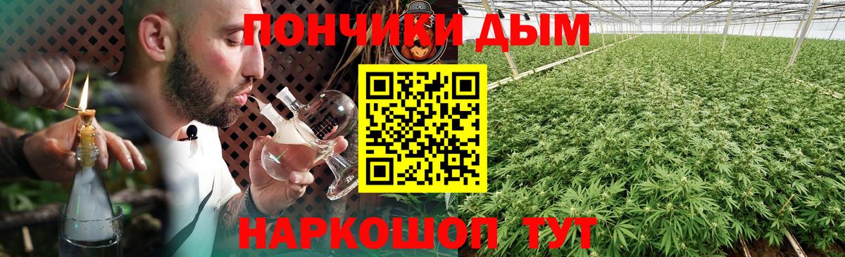 Бошки марихуана Bruce Banner  Бошки марихуана OG Kush  Солнечногорск  Канабис VHQ  Вход с VPN  Канабис VHQ 